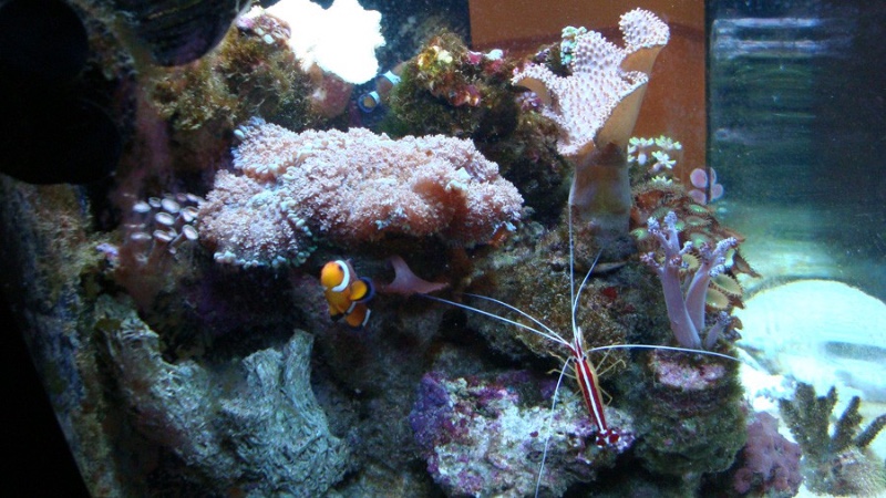 Acuadelzoo 3
