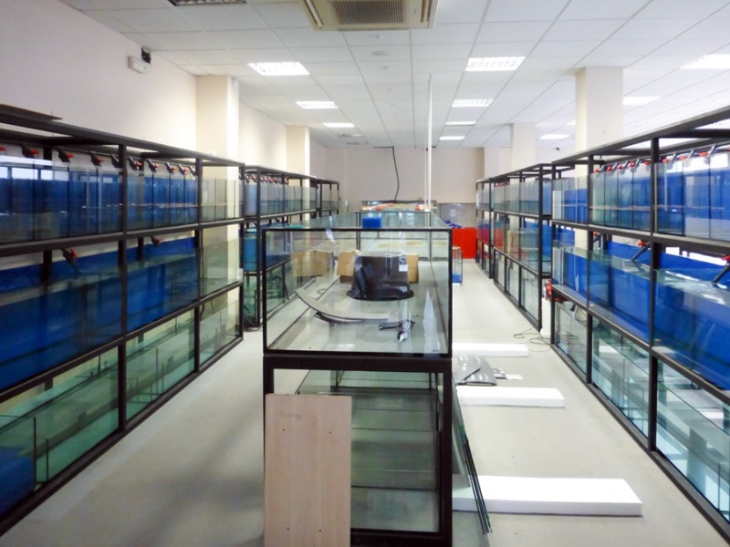 Acuario Malaga