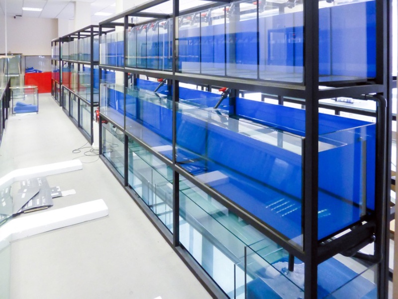 Acuario Malaga 1