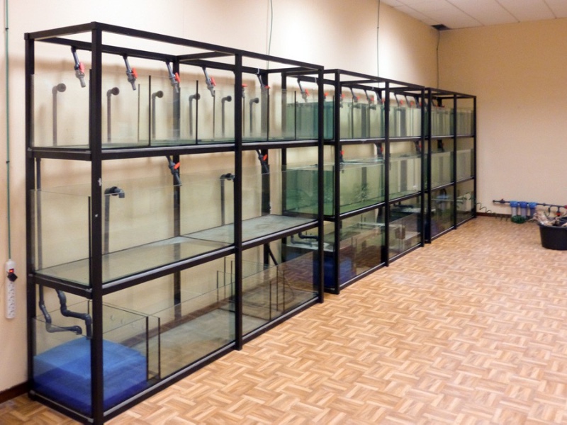 Acuario Malaga 3