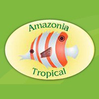Amazonia Tropical Discos