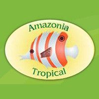 Logo de Amazonia Tropical Discos
