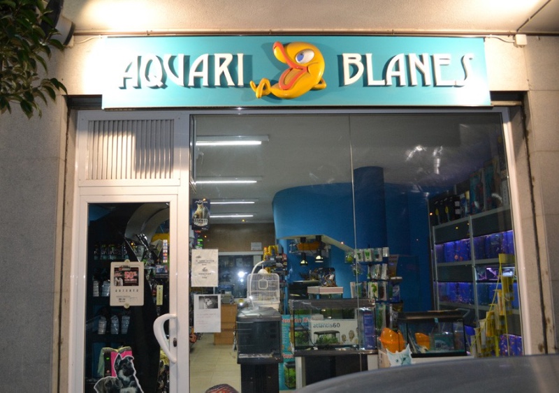 Aquari Blanes 1