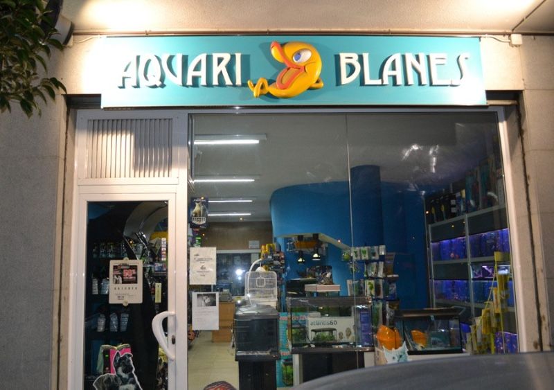 Aquari Blanes 1