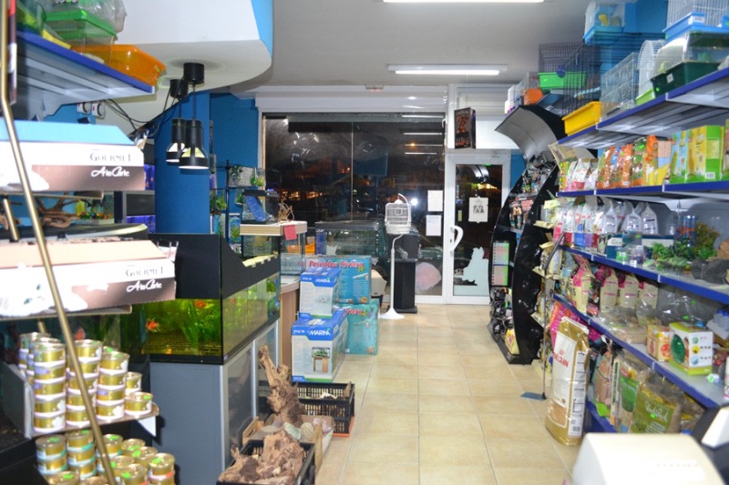 Aquari Blanes 2