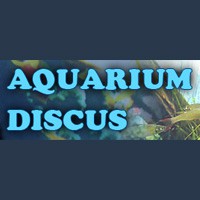 Aquarium Discus