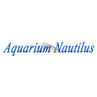 Aquarium Nautilus