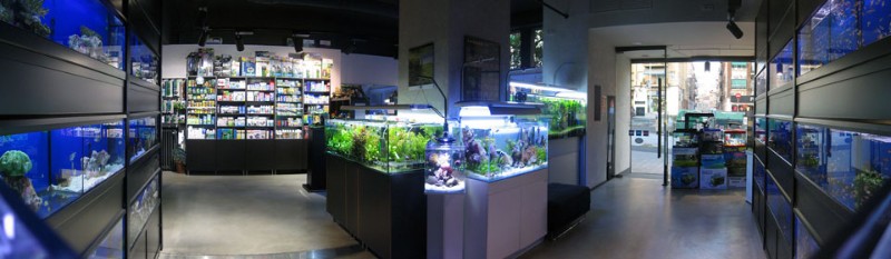 AQUAZEN 1