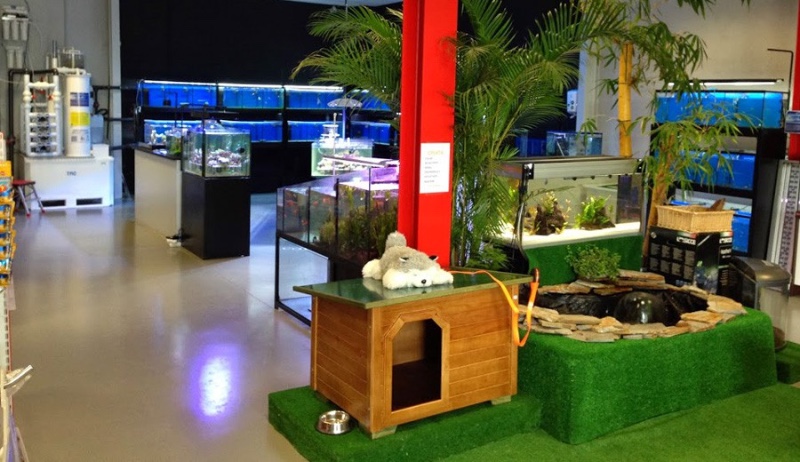CoralReef Alicante 1