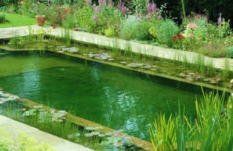 Leuka – acuarios y estanques de jardín y terraza 2