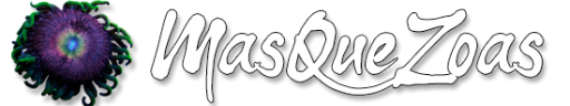 Logo de MasQueZoas