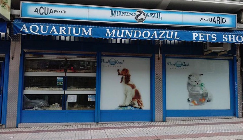 Mundo Azul 2