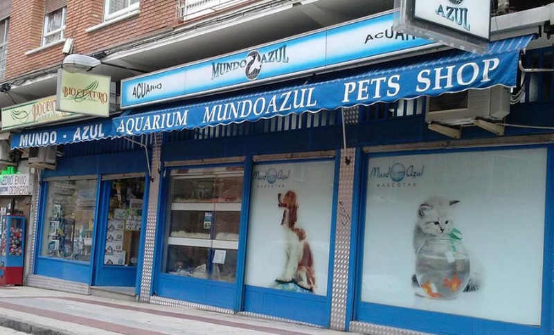 Mundo Azul 4