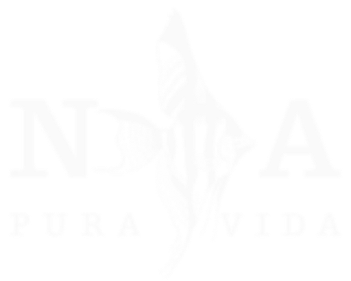 Logo de Natural Aquarium Pura Vida