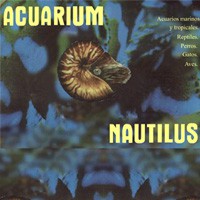 Nautilus
