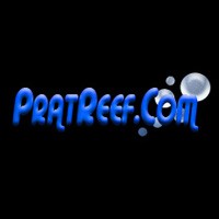PratReef