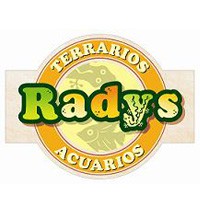 Radys