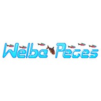 Welba Mascotas