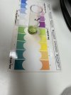 IMG_5242.jpeg