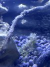 IMG_5717.jpeg