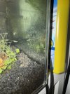 IMG_5718.jpeg