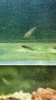 Screenshot_2016-11-02-20-00-02-01.jpeg