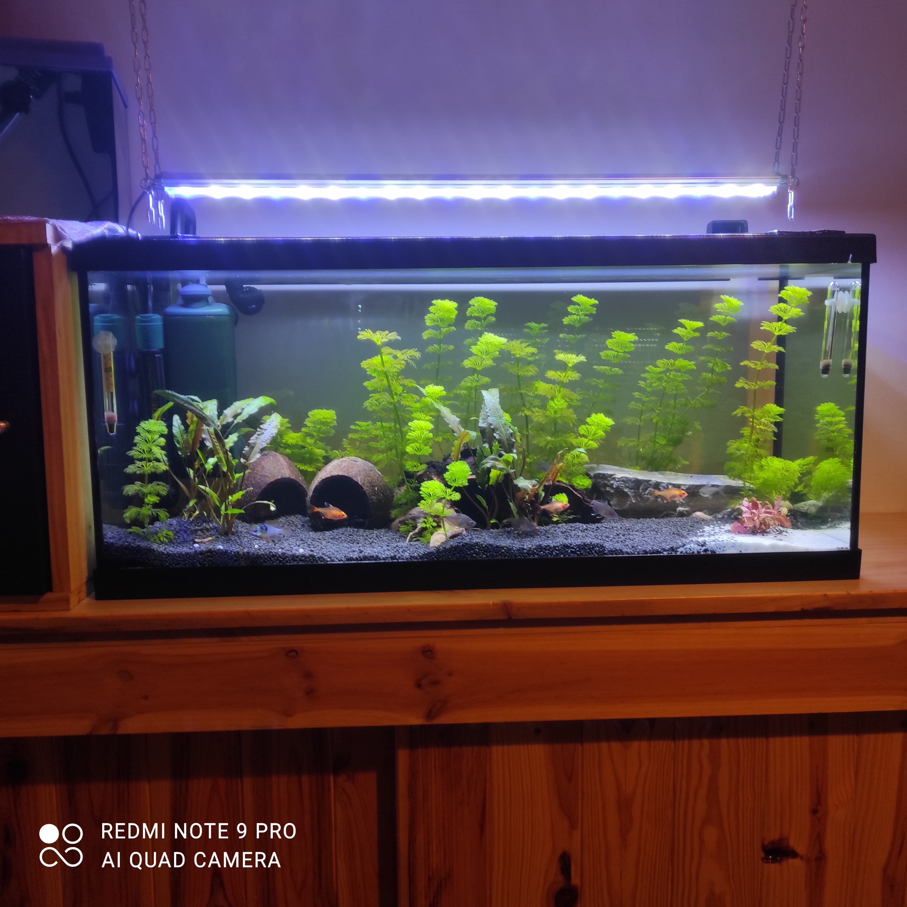 Acuario 80 Litros | Foro de Peces y Acuarios de Acuario Adictos