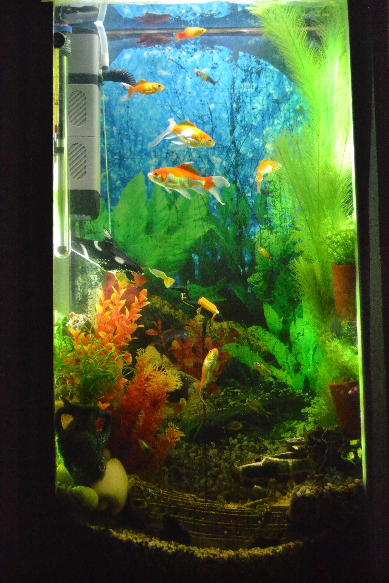 Acuario empotrado en pared 50x100x20