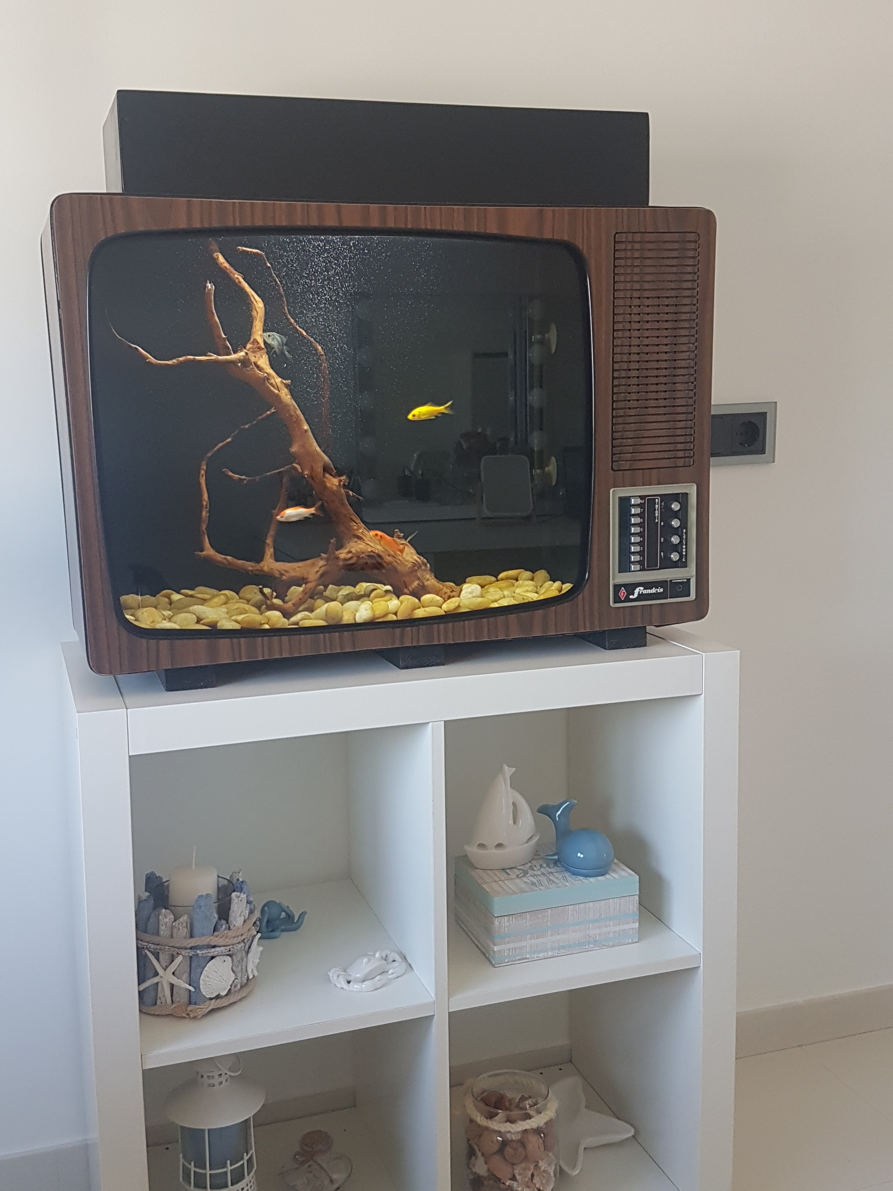 Acuario Televisión