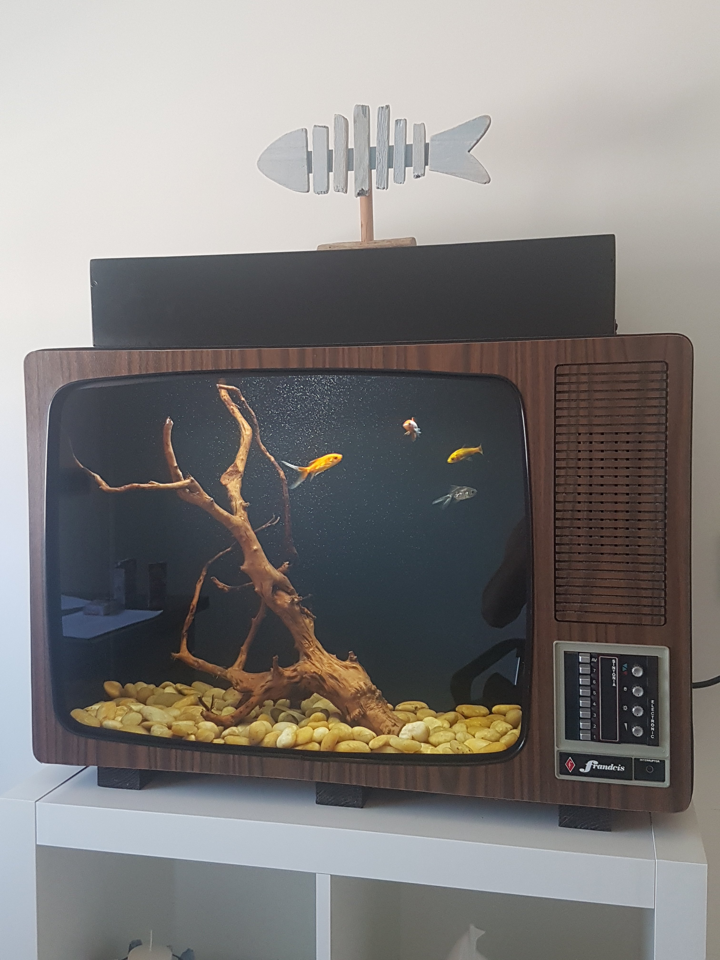 Acuario Televisión