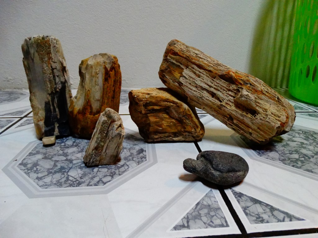 Madera petrificada para adornar el acuario