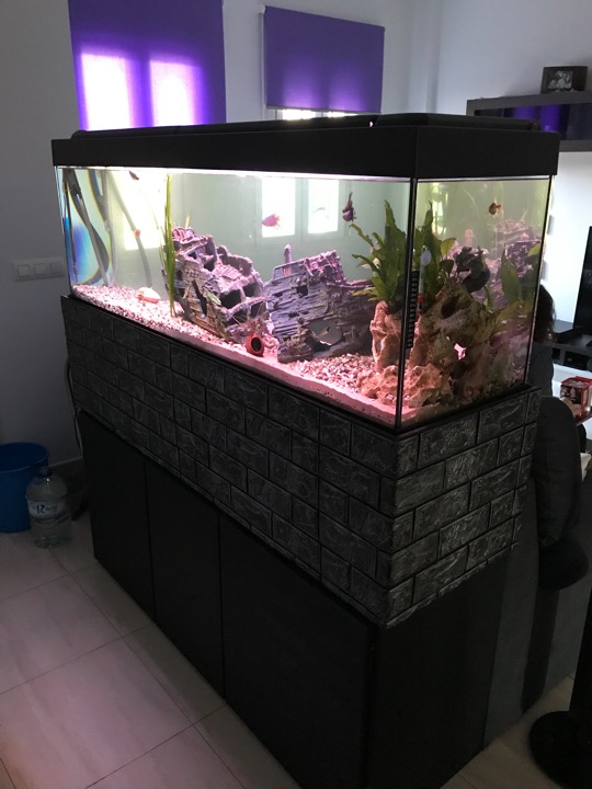 mi acuario 300L