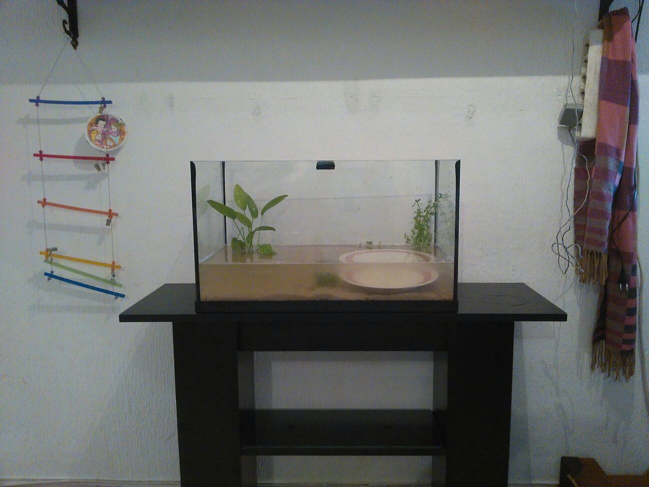 mi acuario en proceso de llenado