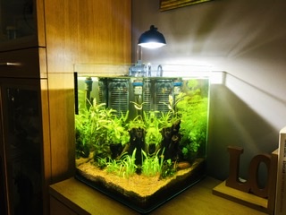 Nano acuario 35L